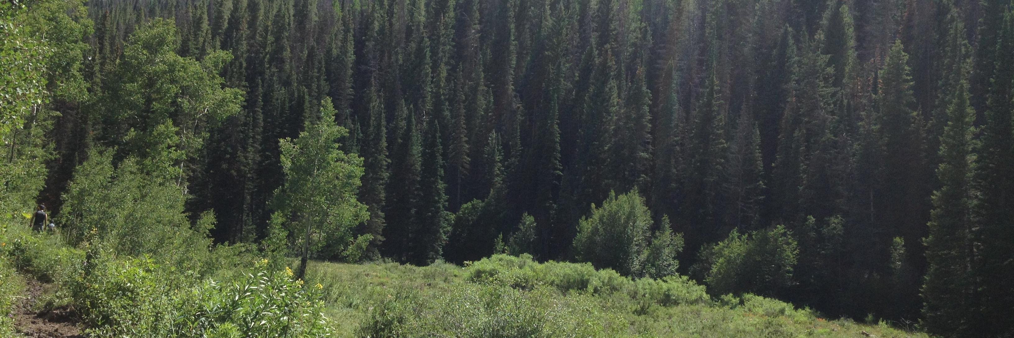 TramMobley's profile banner image