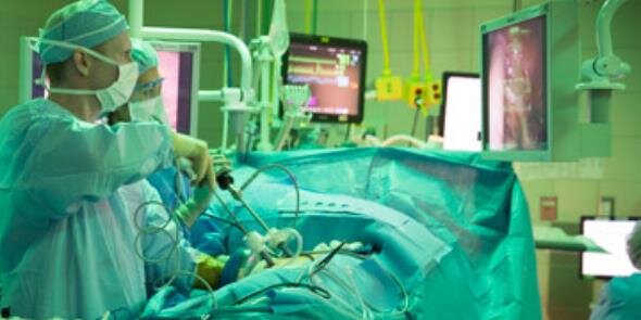 UtahTransplantDoctor banner