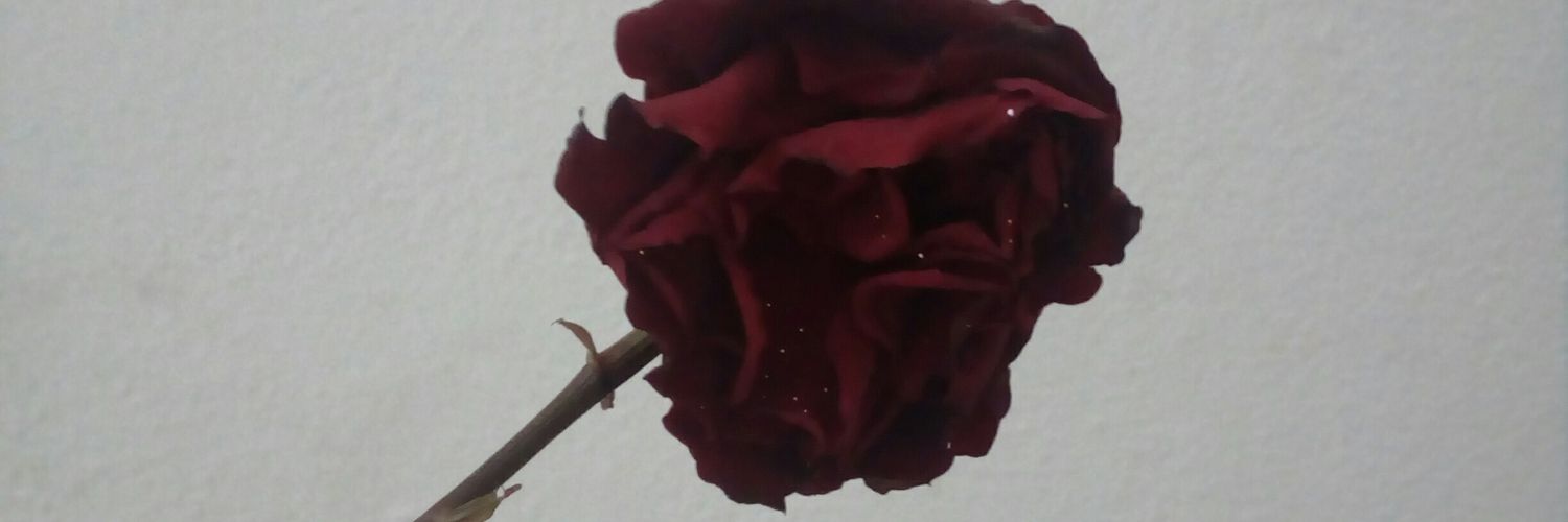 __twentyone's profile banner image