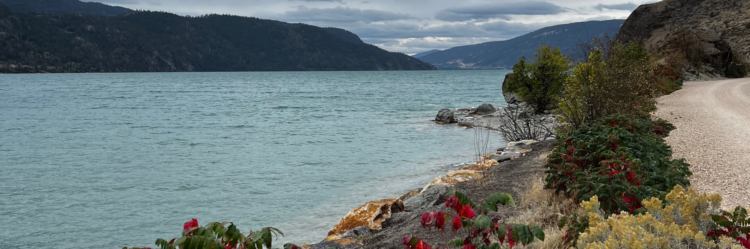 moore or less 🍎 banner