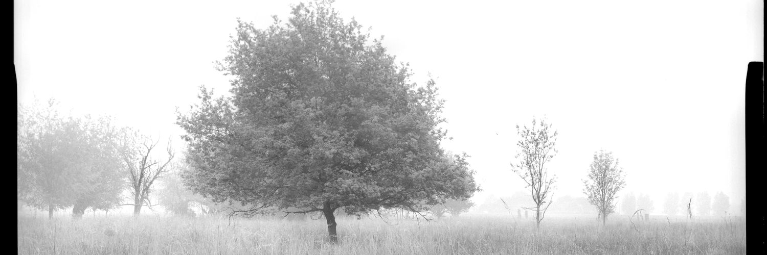 roelandhens's profile banner image
