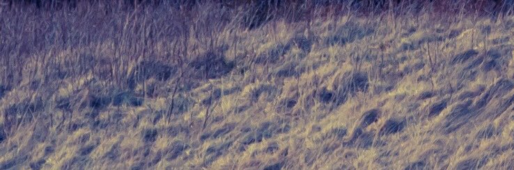 TheMendesMoon's profile banner image