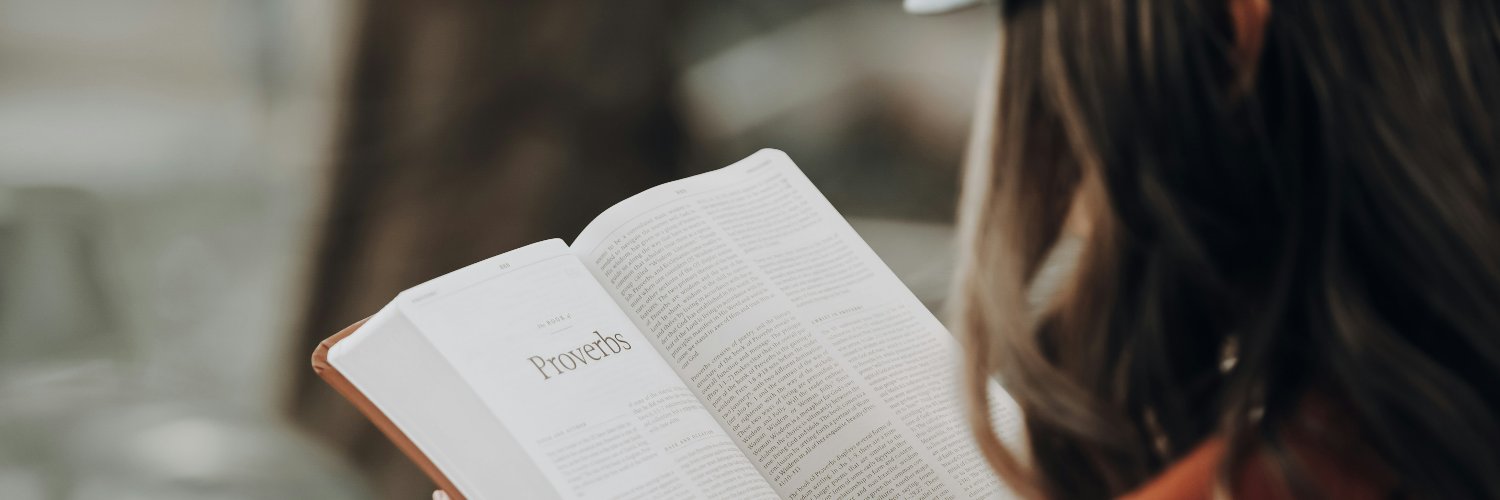 쇼너(Shoner) 🍔 banner