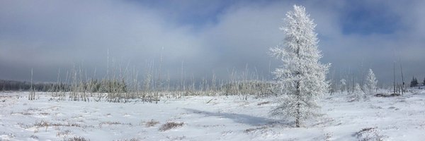 C_E_Winter Profile Banner