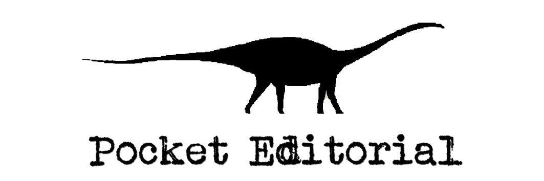 Pocket Editorial banner
