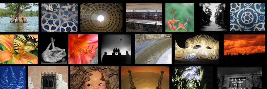 Lisa Shea Artist banner