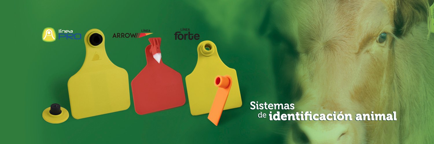 Intelitec's profile banner image