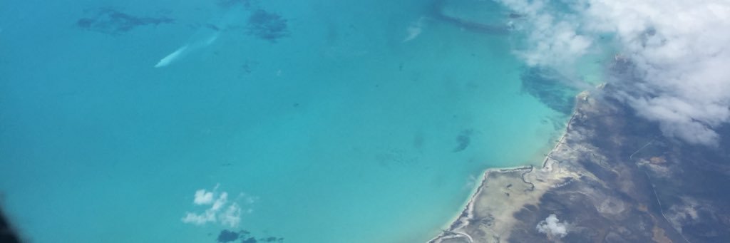 Daniel Conde banner