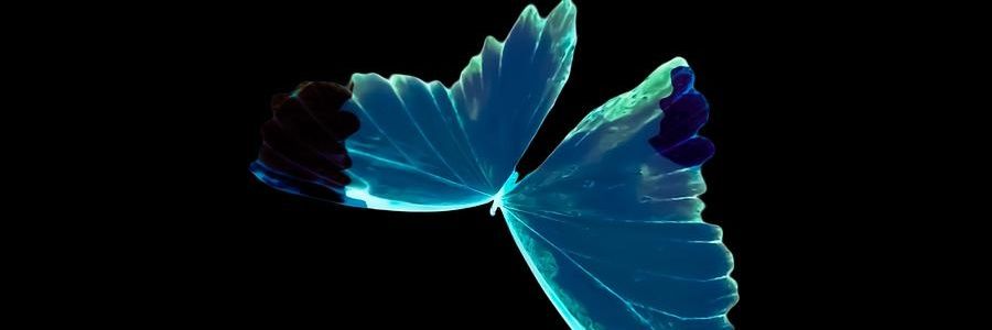 Jenni with an I banner