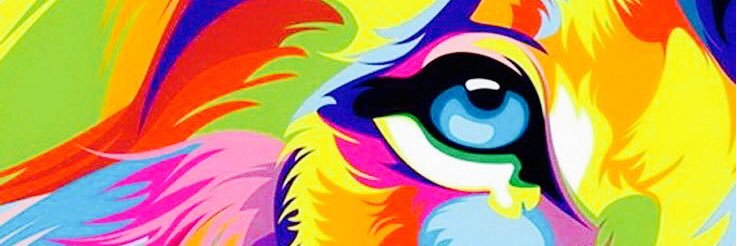 CnLi0n's profile banner image