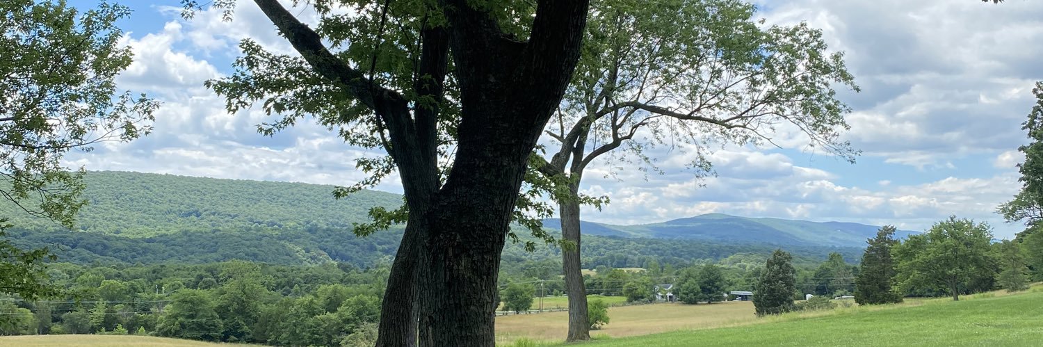 CynthiaGSeay's profile banner image