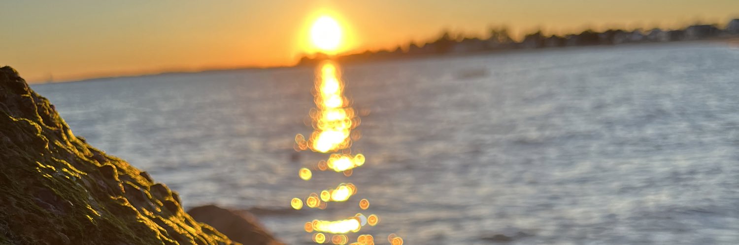 scarlet reverie banner