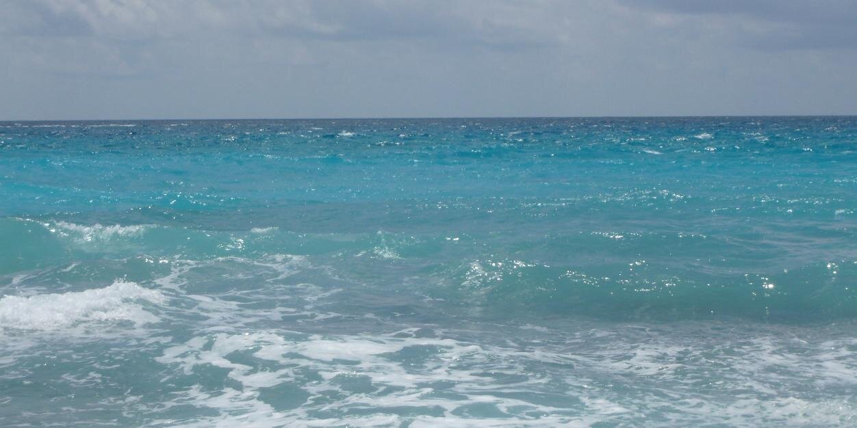 Alison Y. Sleight banner