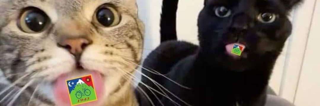 dinistrx's profile banner image