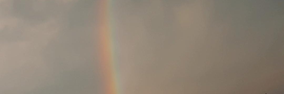 _RoMedina_'s profile banner image