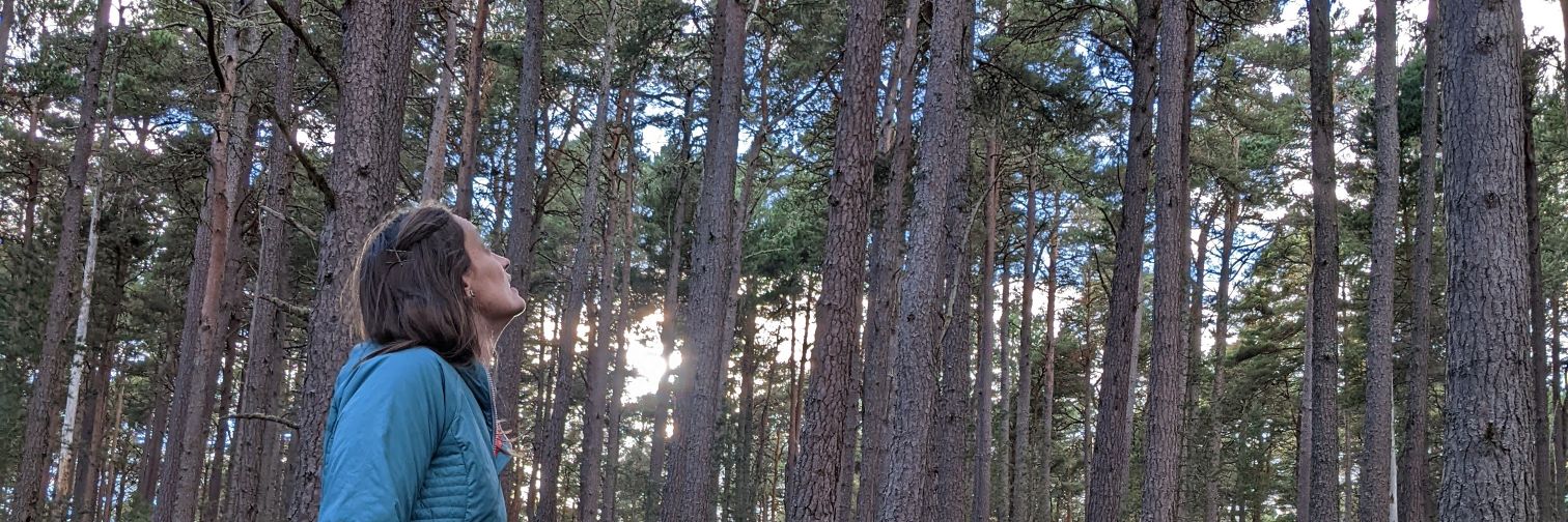 RachelSGardner's profile banner image