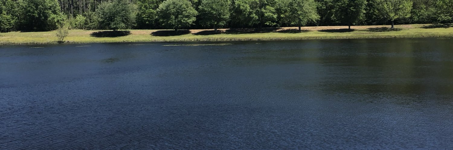 ScharerAlex's profile banner image