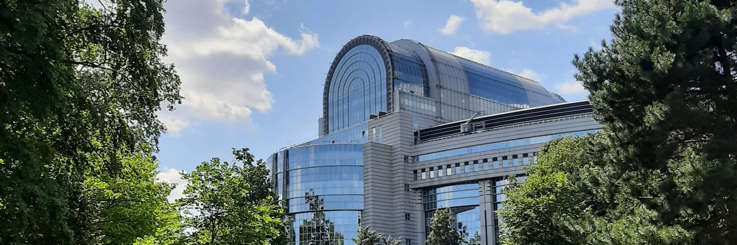 Michaël P. Goris banner