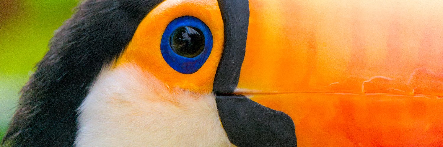 toco_presso's profile banner image