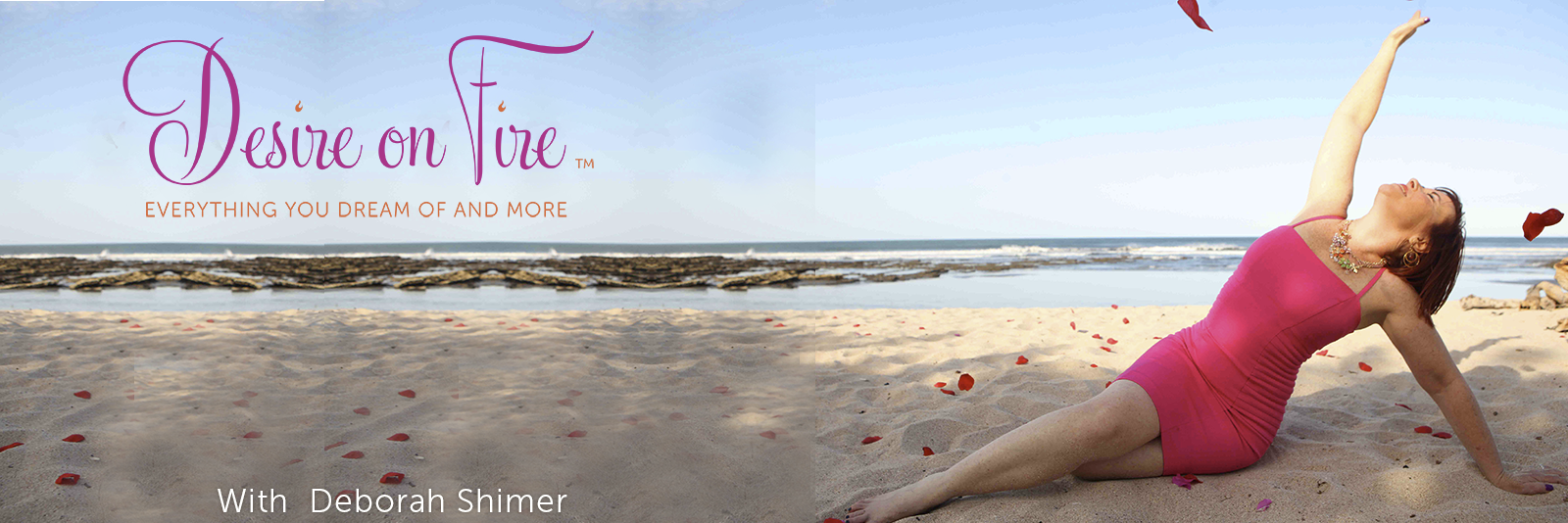 deborahshimer's profile banner image