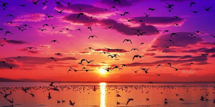 faten8820's profile banner image