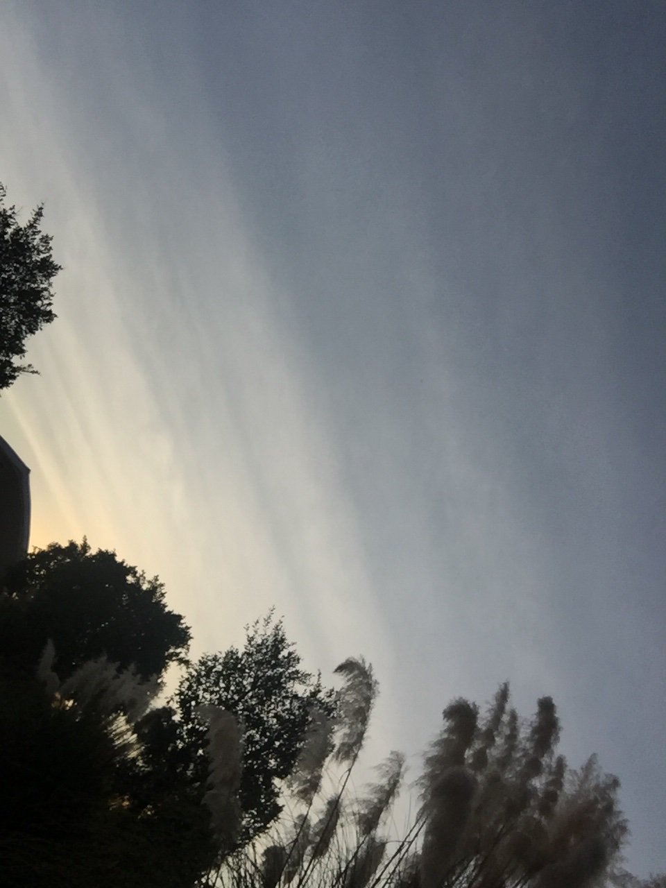 6431L78C's profile banner image