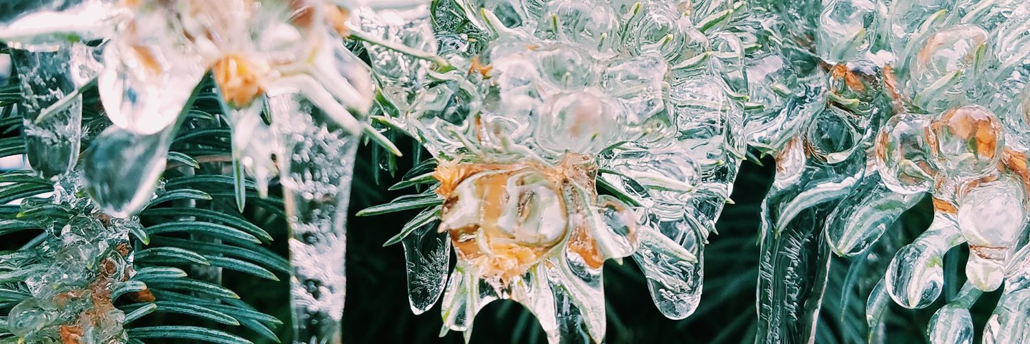 Megan Sadowitz banner