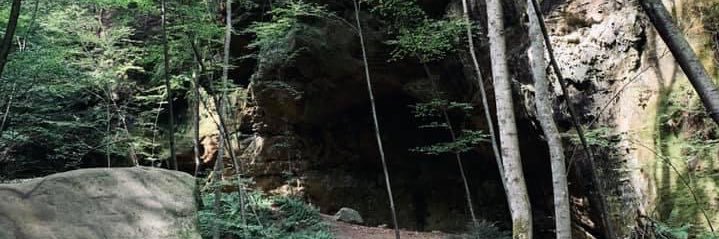 careyahaynes's profile banner image