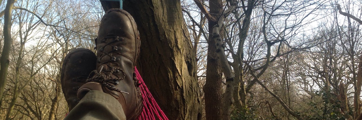 AlisonTapply's profile banner image