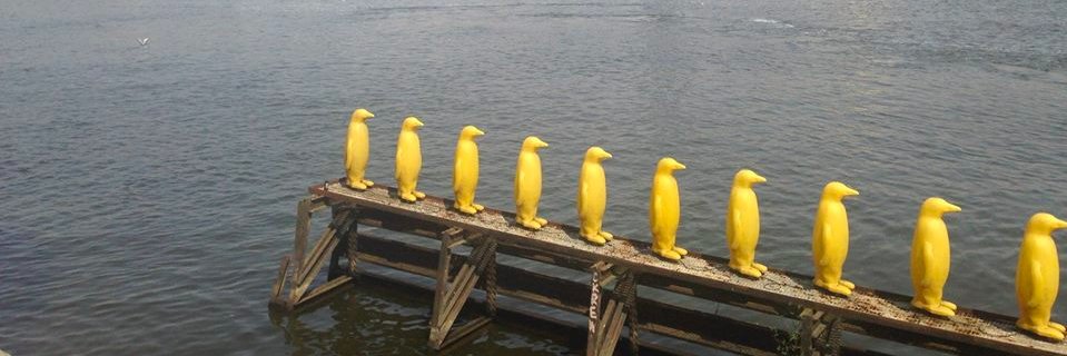 justinedoody's profile banner image