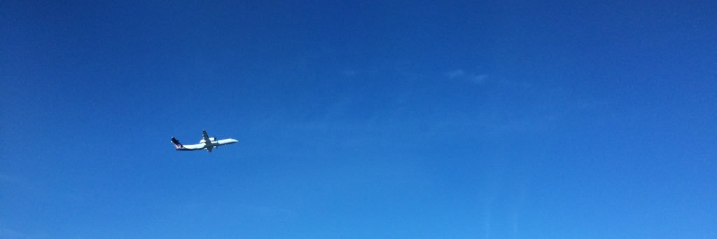 gecoya's profile banner image