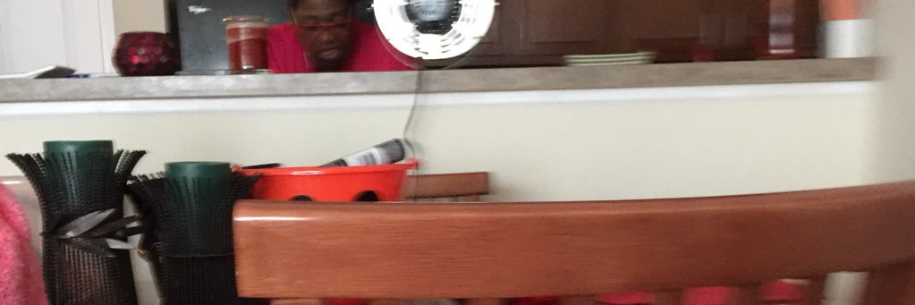 reva mitchell banner