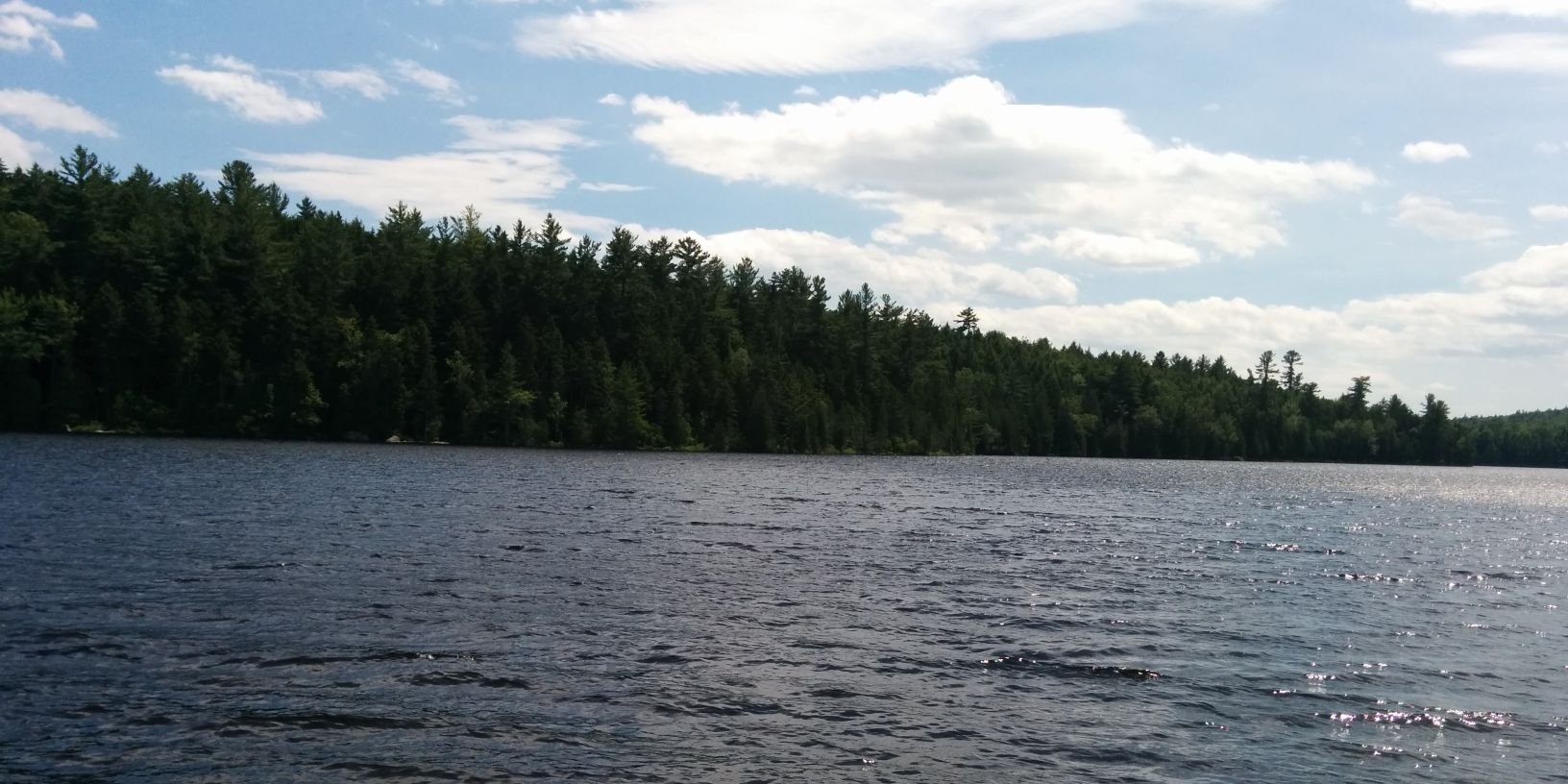 Dave Lindquist banner