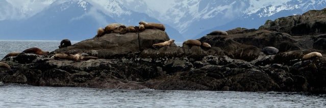 RealLATeacher's profile banner image