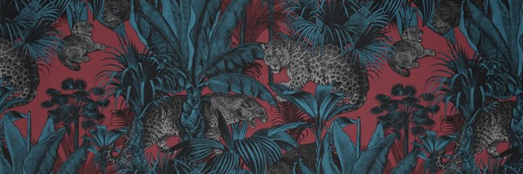 allmylifeahn's profile banner image