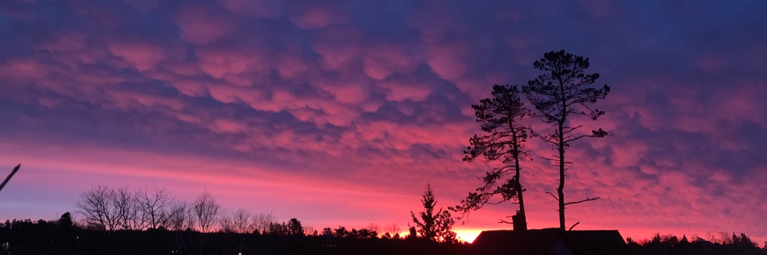 Deedee Carman banner