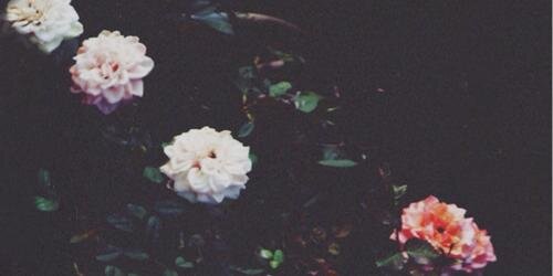 fxsole's profile banner image