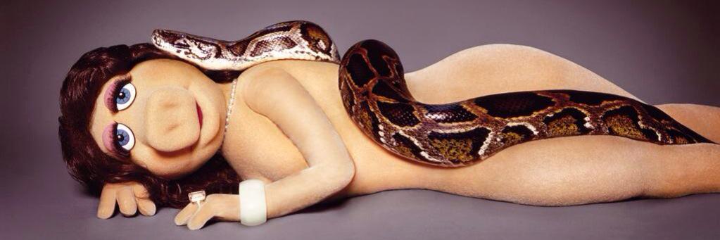 Sheepy Shoulders banner