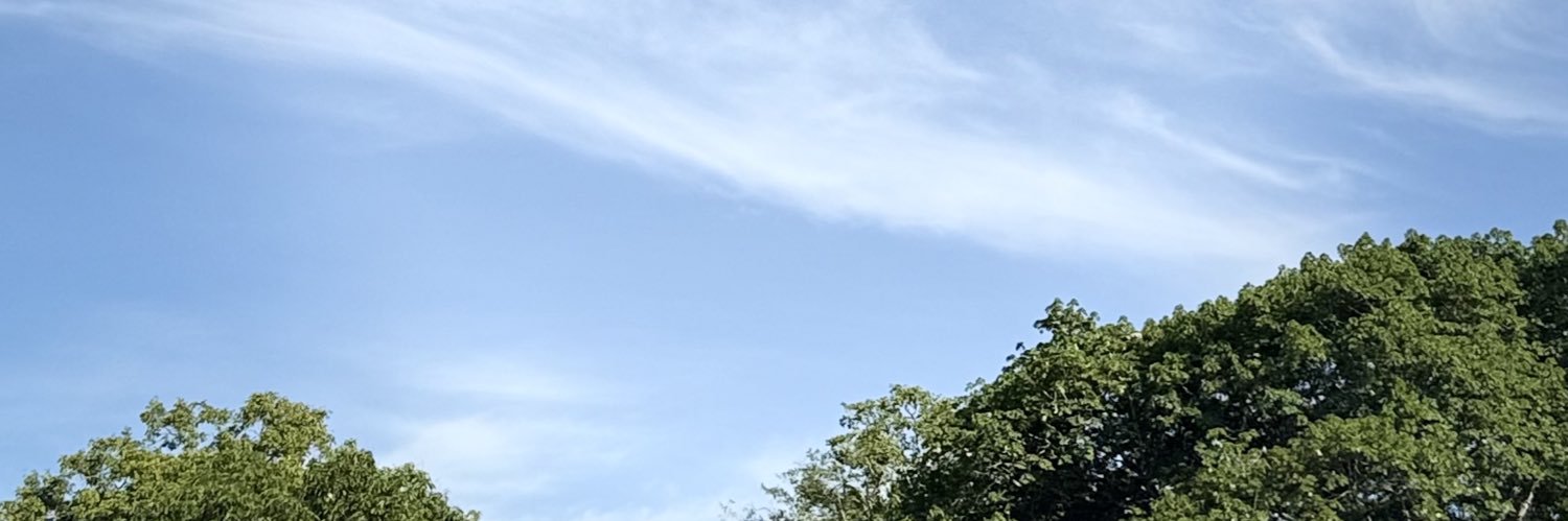 stevenredsx's profile banner image