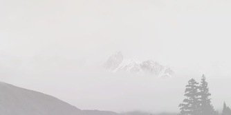Reignroyal's profile banner image