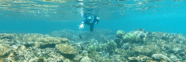 CoralTrace Profile Banner