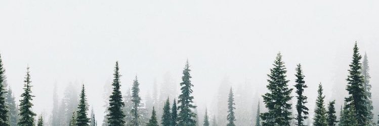 HawkesKayla's profile banner image