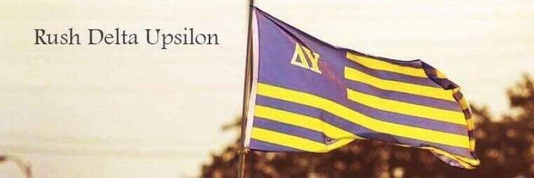 Delta Upsilon WIU banner