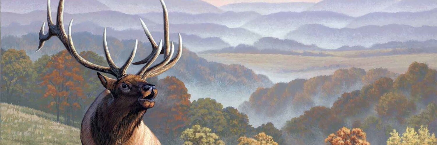 DriftlessRivers's profile banner image