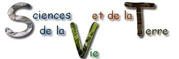 Bnice_gildas's profile banner image