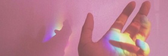 Babybearamy's profile banner image