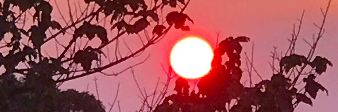 Leia Cator (ˆ◡ˆ)❀ banner