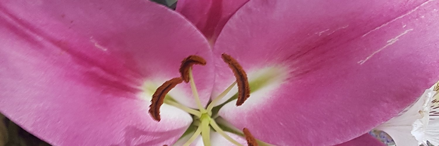 Qmdas2020's profile banner image