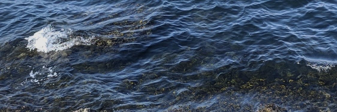 widsquid's profile banner image