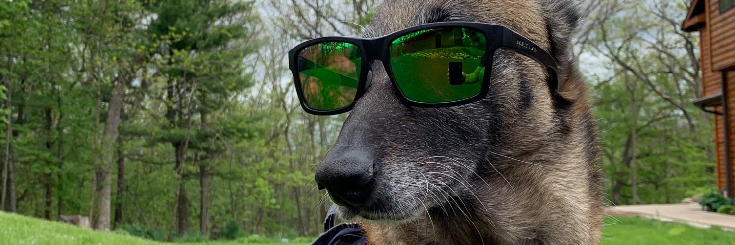 mqwalker94's profile banner image